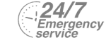 24/7 Emergency Service Pest Control in Muswell Hill, N10. Call Now! 020 8166 9746