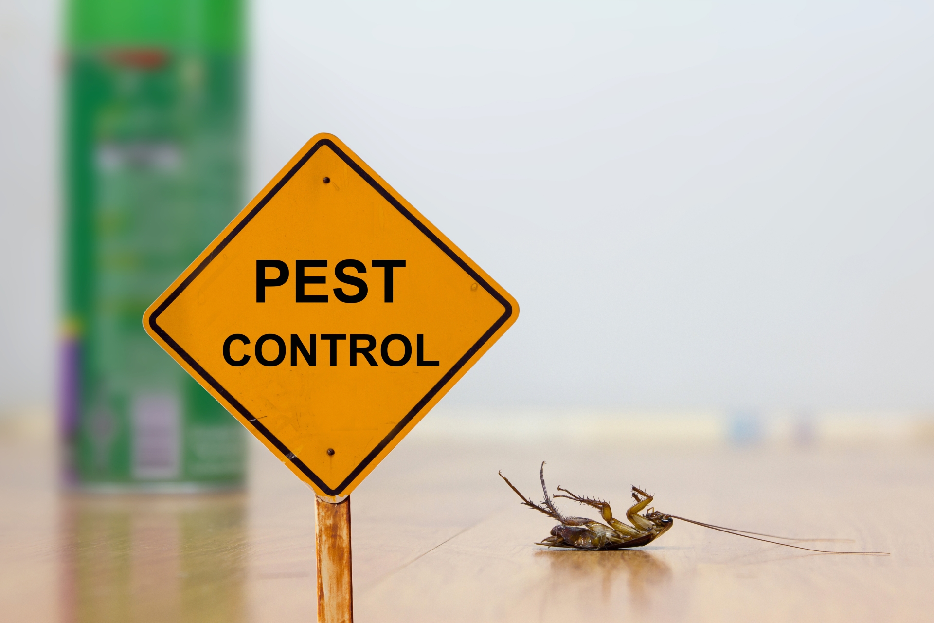 24 Hour Pest Control, Pest Control in Muswell Hill, N10. Call Now 020 8166 9746