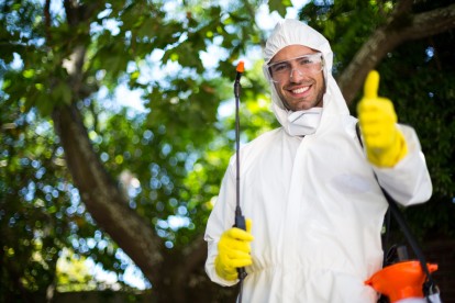 Pest Control in Muswell Hill, N10. Call Now 020 8166 9746